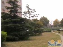 一梯两户,大开间,交通便利,精装修,精装好房