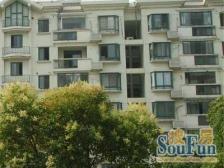 中环内新上错层住宅,全明户型,一梯两户。