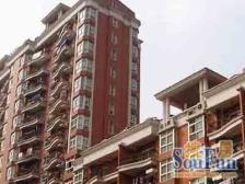 俯瞰田林 全天采光 视野开阔 通风好 居住舒适