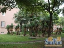 带双天井,毛坯双南两房,低楼层,诚意出售