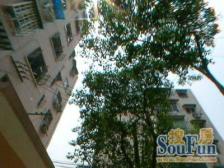 环球港商圈,楼层老少皆宜,一梯三户,环境美丽,有钥匙