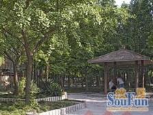 采光刺眼 地铁口一梯二户全明户型光线视野无遮挡