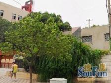 单价三万八,户型这么方正,找不到其它的了吧,8号线