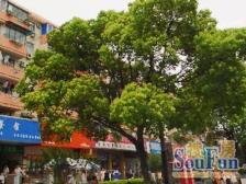 开鲁四村2室东朝向188.00万元/套出售