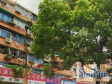 开鲁四村 2室1厅 西南