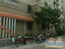 独栋全明户型 新上房源 诚意出售 看房方便