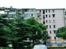 内环电梯房!双轨交通出行方便!楼层佳!视野开阔