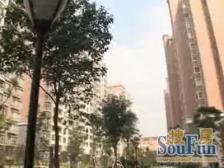 入住快 精装,无抵押,新上房源