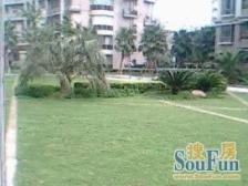 好房,满五年,税少,小区中间位置,精致装修,楼层好