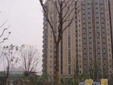 近地铁,电梯房 精装 必看好房