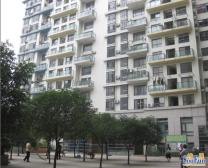 流星花园 3室1厅 南 东南