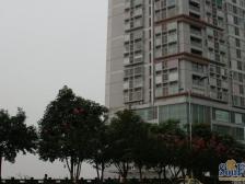 鹅岭地铁站旁,铂金时代精装单配出售