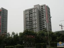 凤凰台,视野开阔,采光好,小户型,布局合理