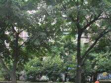 急售,价格可谈,地铁口