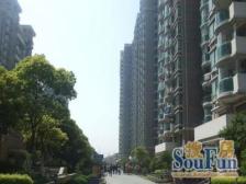 墙裂推荐 飞机户型 景观楼层 视野无限好