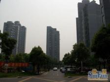 中环内 底楼09年次新房 带产权车库 看房随时方便 诚心出售