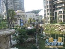 装修保养好 采光好 户型正气 近地铁口