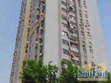 希有户型!带天井采光不挡,双轨交汇,医疗商圈成熟