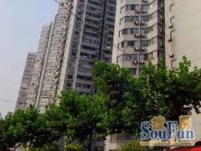 近地铁,满五,采光好无抵押,必看好房