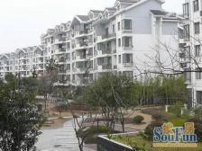 新上安静位置 五室二卫 叠加别墅 带大花园 自住精装