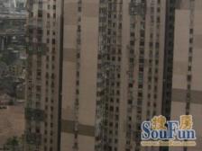 精致3房拎包入住,朝南朝东高区采光好!满五年