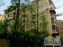 97年商品房质量好+一梯两户高品质+全明户型南北通透+诚心卖