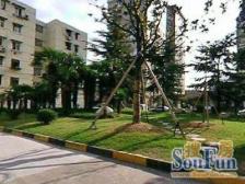 电梯房,大开间,厨卫朝北,品质小区