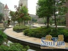 东苑集团开发!电梯高层!南北通透!靠近莘庄政务区!七莘路!