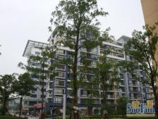 07年次新电梯房 南北户型 通透明亮 有钥匙