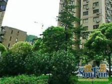 电梯房,交通便利,小区景观位置,居家装修,价格好谈,配套完善,南北通透