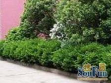 源深·东舫大厦·1室·1厅