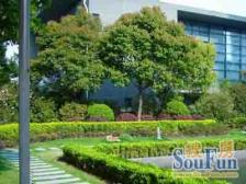 出门地鉄口 双轨交 凤凰楼层 采光视野好 满五V一 看房随时