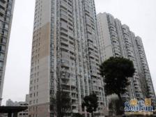 北外滩绝佳景观 万科物业 得房率高