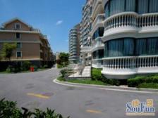 小区位置,好楼层,满五年,视野采光棒