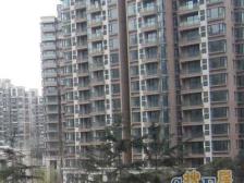 中间楼层,现场实勘,大平层 必看好房