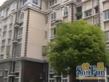 高境欣苑2室南朝向610.00万元/套出售