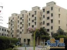 清新奶油风新装修,可拎包入住,位于紫荆商圈,内环内双南好户型