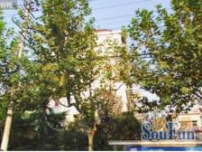 体育场地铁口中间楼层无抵押热门盘