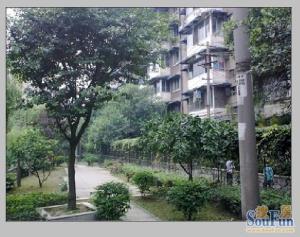 青羊东二路社区1室1厅西南