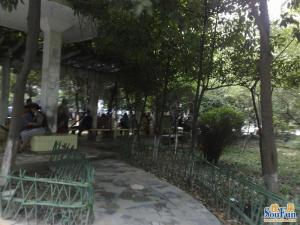 红运花园馨苑4室2厅西南