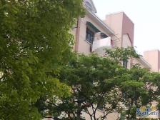 近地铁 刚需上车 新上房源