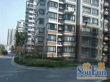 复兴旁,06年电梯商品房,随时看房,车位配比高!诚意