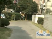 人车分流,电梯房 中心位置,3梯6户 新上房源