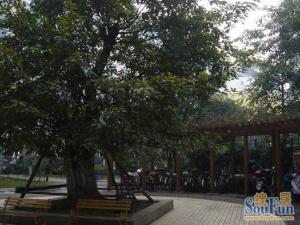 德意馨苑4室2厅东南南