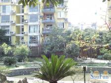 德意馨苑 4室2厅 西南