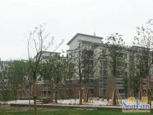 安亭老街,大平方复式房,房间多,好改造,价格可谈