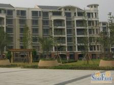 南北通大三房,格局好,电梯房,可预约看房