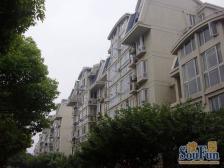 良辰美景新上+顶楼复式+露台+停车方便+朝南视野无遮挡