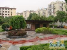 良辰美景+顶楼复式+露台+面积大+诚意出售+价格可谈!