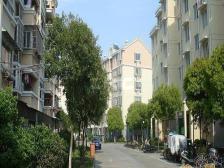 近地铁 无抵押 中间楼层 刚需上车,必看好房